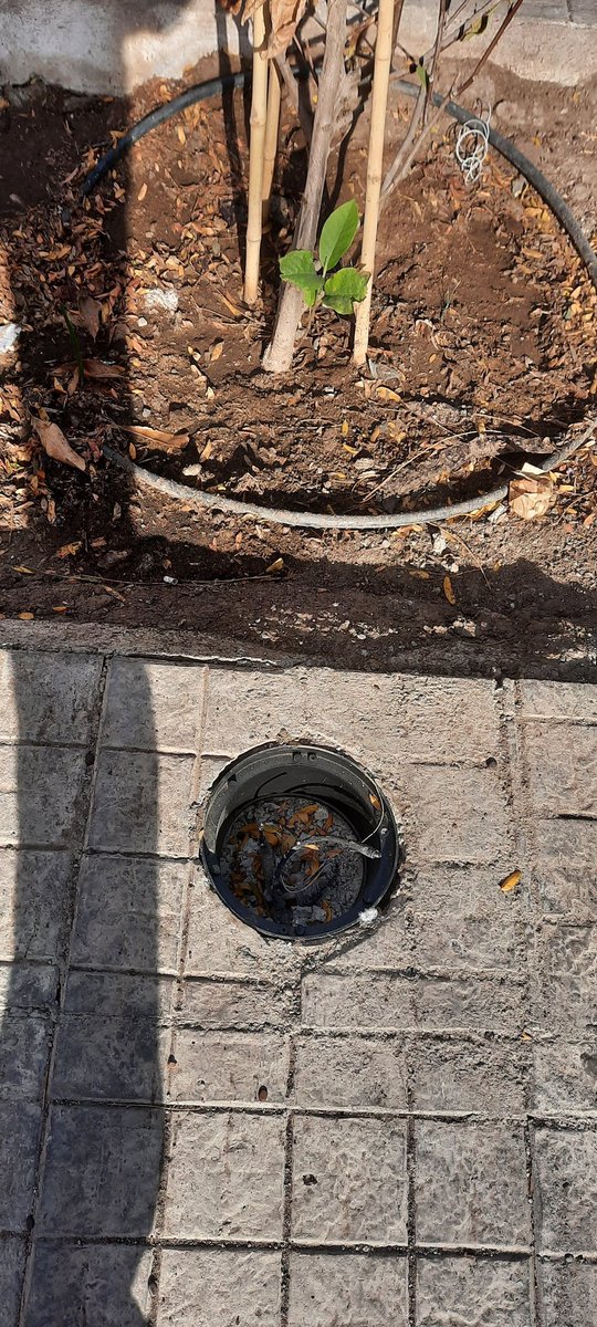 Luis210573's tweet photo. @Duranbaronti @DOM_INDEP @Muni_Indep @Seg_Publica_Ind @Carabdechile pongan termino a la delincuencia...Robo de Tapas de suministros, Robo de Basureros,Robo de Focos de iluminación y robo de cables electricos...Municipio Ausente y sin hacer su trabajo. https://t.co/3H6SfD5f5j