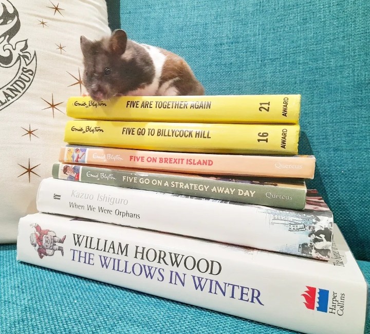 StoryBoxAlibi's tweet photo. Dexter invites you to take a gander at the newly listed books in the shop https://t.co/NUcvFzPFua
A few classic Enid Blyton and a few of the newer parodies, not to mention a sequel to the Wind in the Willows and When we Were Orphans by Kazuo Ishiguro
#storybox #bookcommunity https://t.co/PO2cMn7HD0
