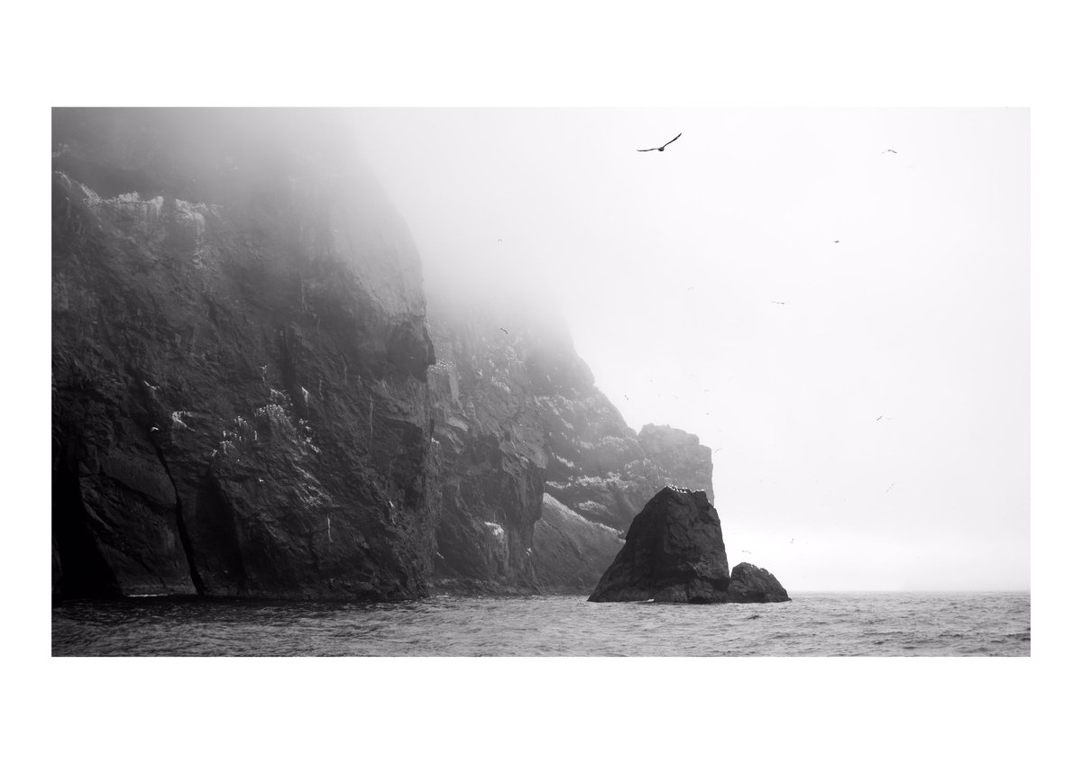 BobbyMcCombie's tweet image. A selection of photographs from my trip to St Kilda in 2019. A surreal experience in such an amazing location.

#EdNapPhoto #photography #VisitScotland #nts