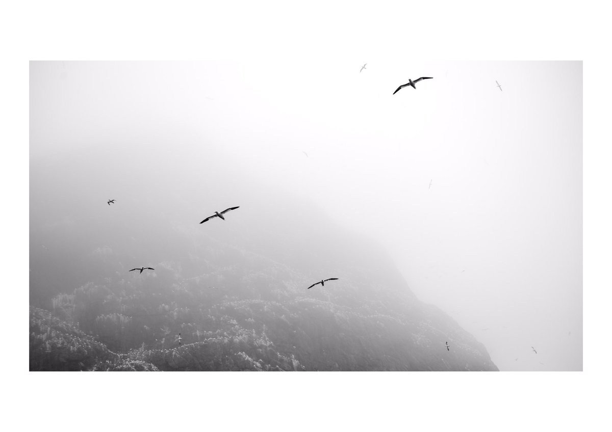 BobbyMcCombie's tweet image. A selection of photographs from my trip to St Kilda in 2019. A surreal experience in such an amazing location.

#EdNapPhoto #photography #VisitScotland #nts