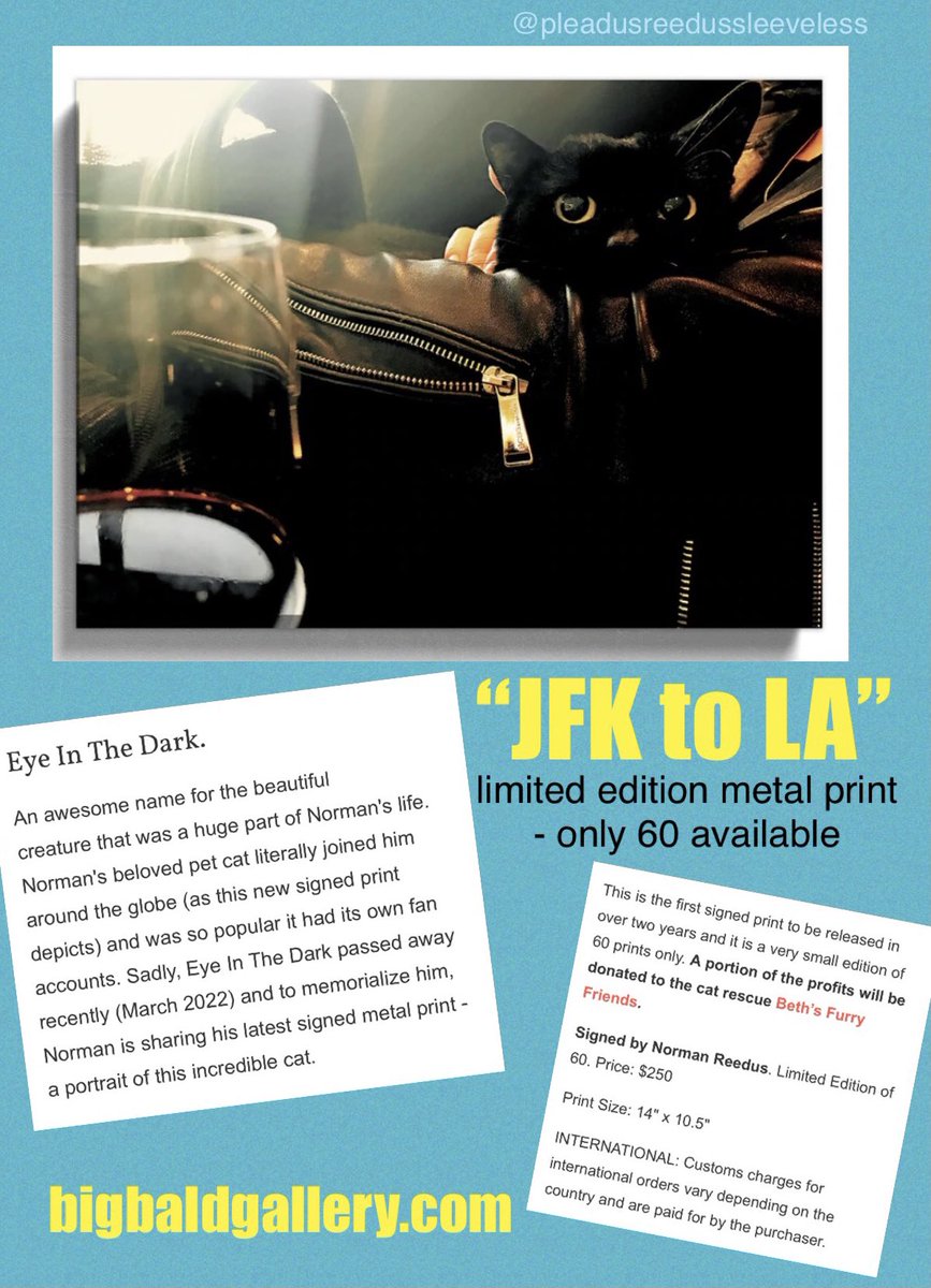 SuzieSaysPlease's tweet photo. 🚨🚨🚨🚨🚨🚨🚨🚨🚨🚨🚨🚨

New Norman Reedus artwork!!🗣

To honour dearest #EyeInTheDark.💔

“JFK to LA”.
(On a plane flight from JFK airport in New York, to Los Angeles)

Limited edition - only 60 available.
$250🇺🇸

At https://t.co/oudzUslMWE

#EITD #NormanReedus @wwwbigbaldhead https://t.co/t6vmjEZPyx