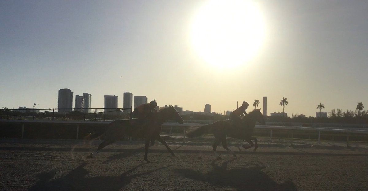 Start your day doing something you enjoy! <a href="/1ST_Racing/">1/ST RACING</a> <a href="/GulfstreamPark/">Gulfstream Park</a> <a href="/LaurelPark/">The Maryland Jockey Club, Inc.</a> <a href="/PimlicoRC/">Pimlico</a> <a href="/santaanitapark/">Santa Anita Park</a> <a href="/GGFracing/">Golden Gate Fields</a>