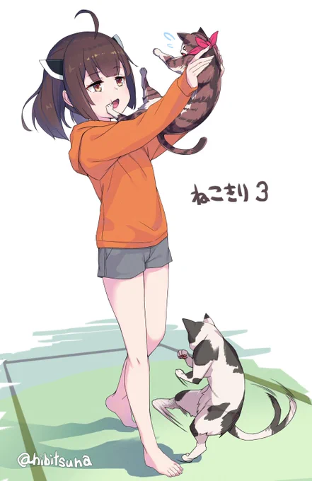 風呂に入りたくない猫
VS
風呂に入れたいきりたん
VS
ローキック猫 