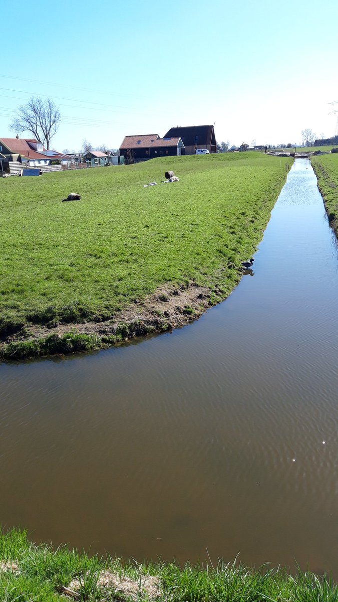 CoWiskerke's tweet photo. #looppassie Rondje buitenom door de zonnige polders van #Schagen https://t.co/LkNuXQctBx