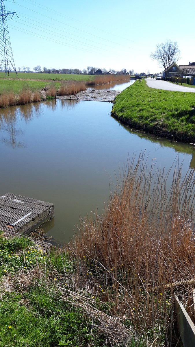 CoWiskerke's tweet photo. #looppassie Rondje buitenom door de zonnige polders van #Schagen https://t.co/LkNuXQctBx