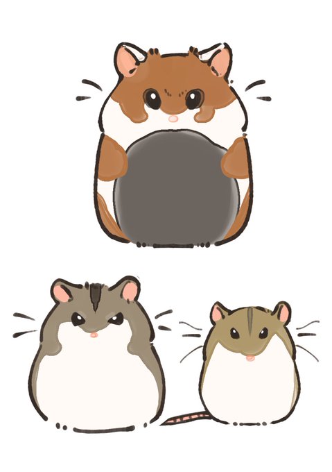チャイニーズハムスターのtwitterイラスト検索結果 チャイニーズハムスターのtwitterイラスト検索結果