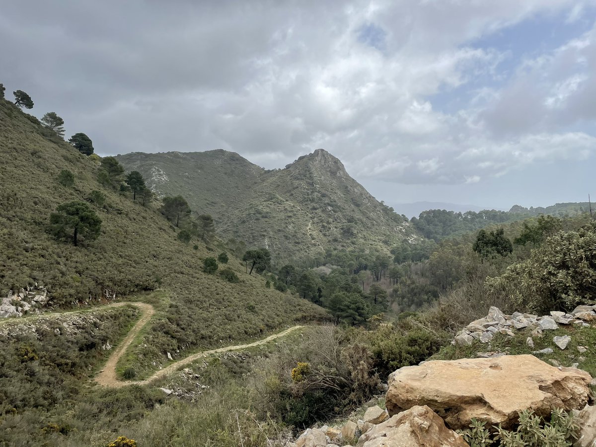 ChristyDH's tweet photo. Went for a bit of a walk. Got rained on* but who cares with views like this? 😍💚Stunning Sierra Las Nieves. In’t nature brillyant? ⛰
(*not gonna lie tho, I am diligently avoiding all my fellow Manxies SpanishWeather posts…🤣😭🤣 #weatherswap #shushnow) https://t.co/ijMHPIwVfM
