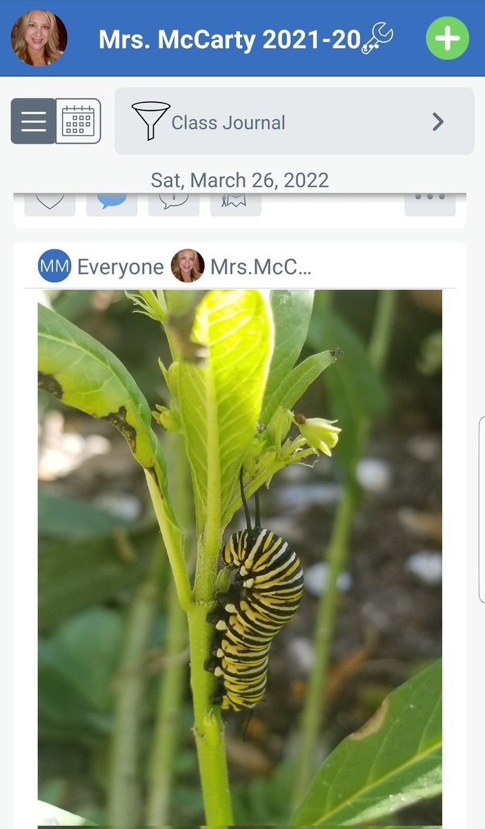 Michelle McCarty tweet media