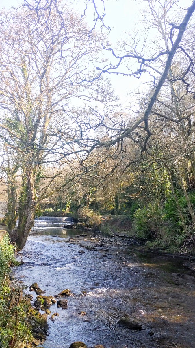 HomeTamar's tweet photo. HAPPY SUNDAY 🌷🌻

Who recognises where this photo was taken in Tavistock Town?

#HomeInstead #Tavistock #TamarValley #CareProfessional #LocalRiver #Dartmoor #Care #HomeHelp #Companionship https://t.co/ZZUdEpy3ga