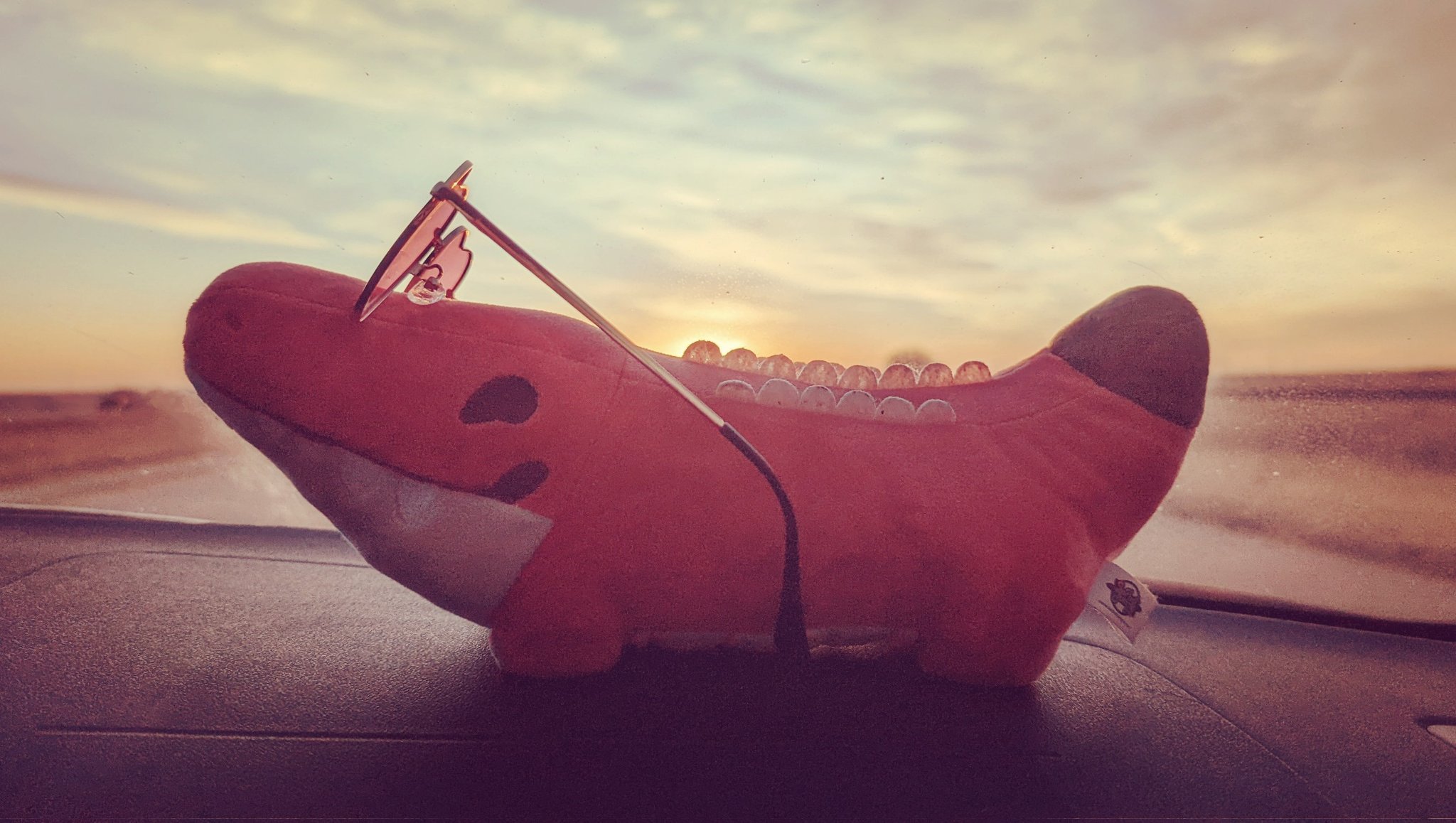 Sorbet Jungle (SorbetJungle) / Twitter