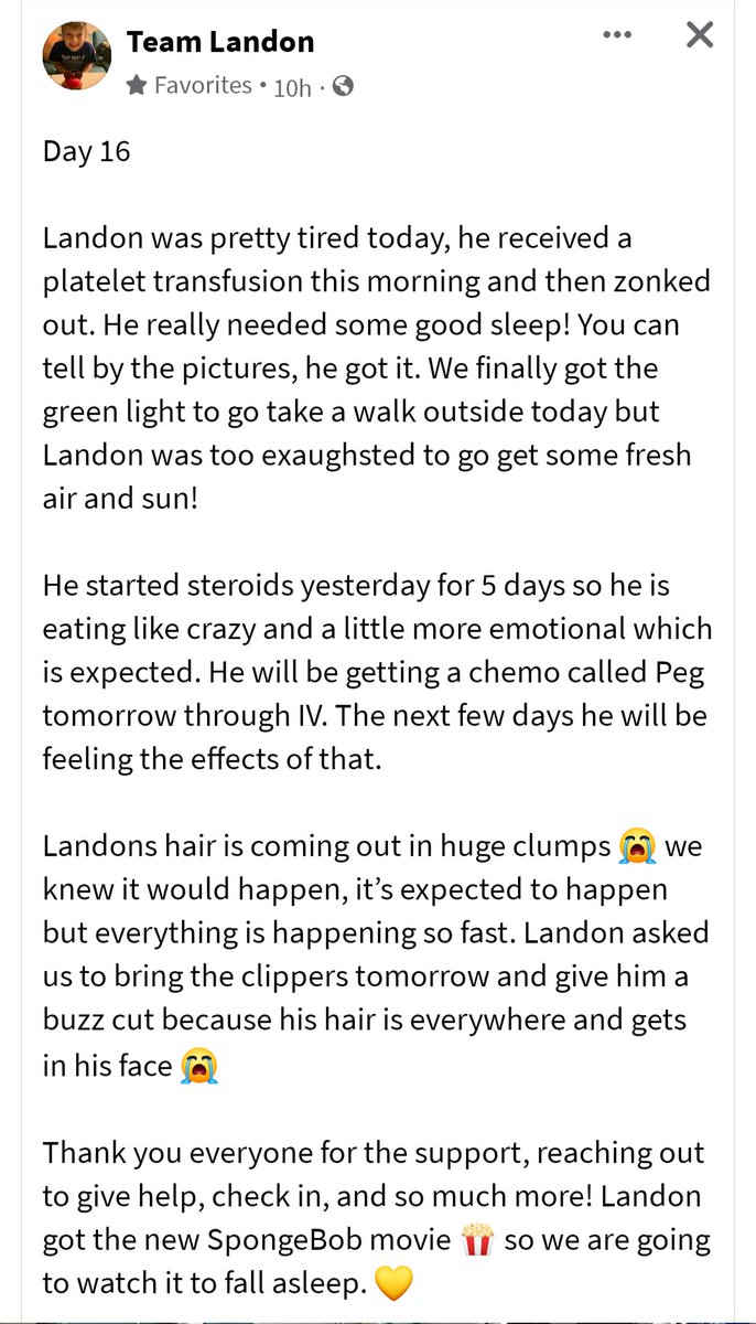 Katstruths's tweet photo. Please keep praying for Landon and his family. My heart aches for them๐
#TeamLandon https://t.co/WmQXdQz2GU