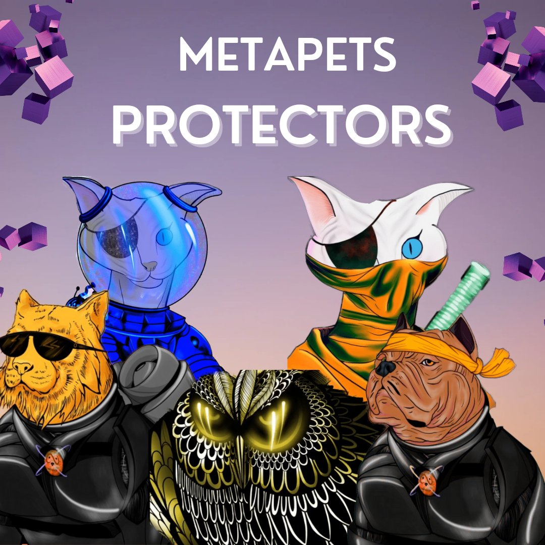 Heendra2008's tweet photo. For all investors @MetaPetsCoin we protect u from fudders and hatters ! βββ
#metapets #metaverse #nft #hotbit #bnb #btc #metapetsarmy https://t.co/10XPJq1FKD