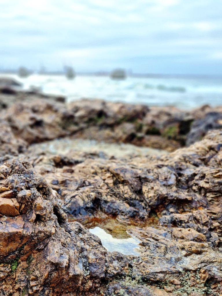 CATHERINE CONSTANTINIDES tweet media