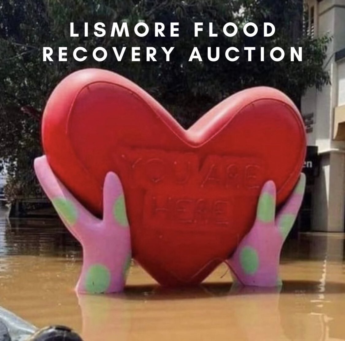 6 days left to place a bid in the #LismoreFloods Recovery Auction. From original artwork to #author visits, signed #books to manuscript assessments there are so many awesome items on offer. (Over $45K raised so far! ❤️) Check it out and make a bid!

airauctioneer.com/lismore-flood-…