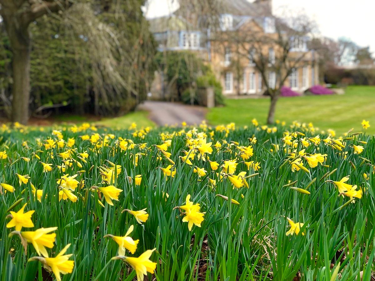A very happy Mother’s Day from everyone at Cairnie! We’re so grateful for our amazing superheroes ❤️