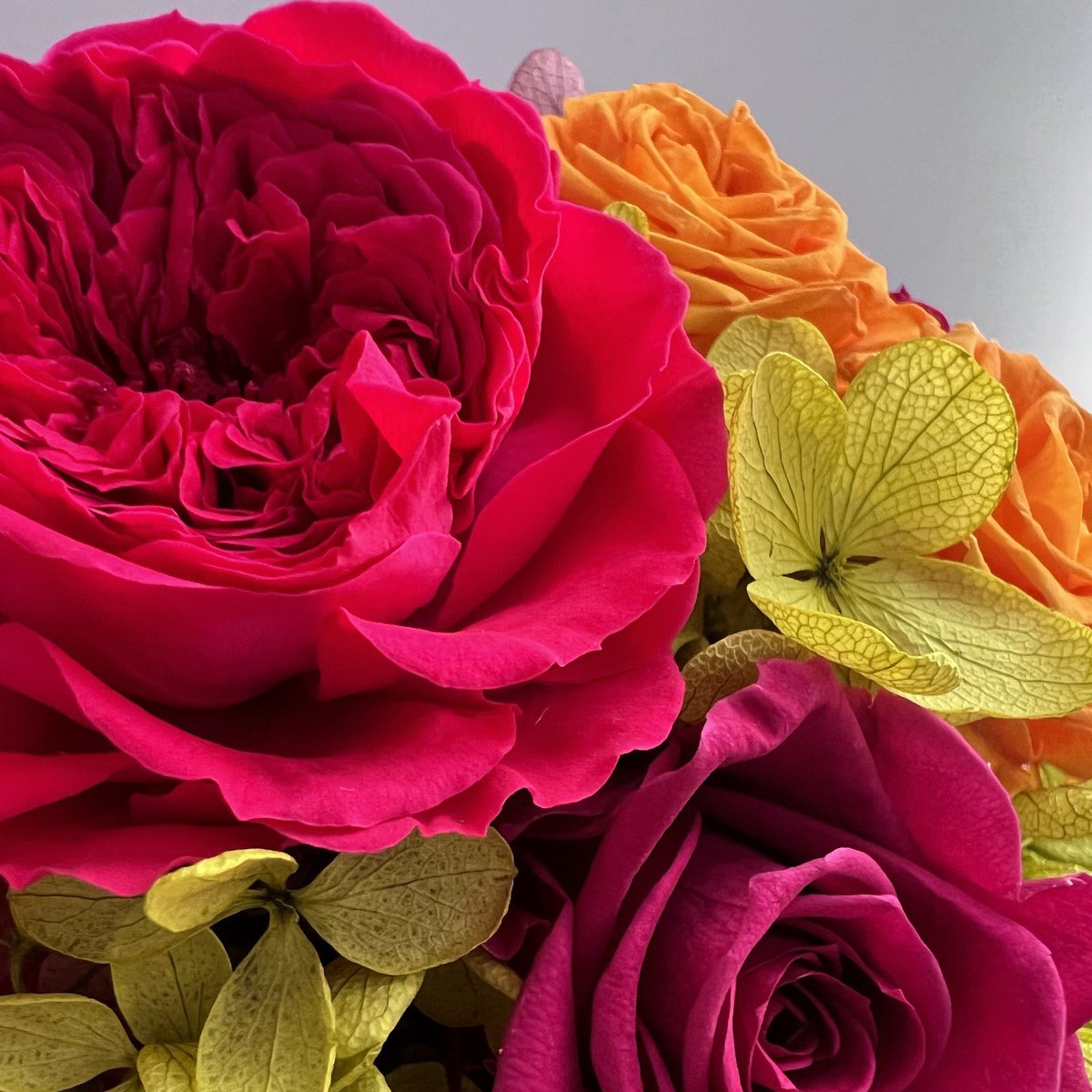 noemie様 ( <a href="/noemie_japan/">noemie_flowershop</a> ) のプリザーブドフラワーが届きました🌹

noemie様のサイトは、大人っぽくてかわいいお花の取り扱いが豊富𖤐

ラッピングがおしゃれで、誕生日プレゼントや #母の日 のフラワーギフトにぴったりです♪

#ノミエフラワーアンバサダー #nomieflower

noemie.jp