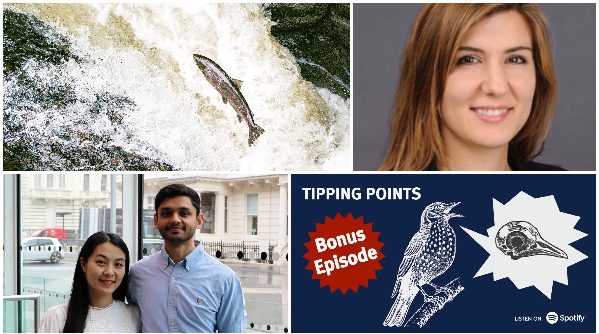 Grantham Institute Imperial (@grantham_ic) on Twitter photo #SundayRead: #Climate #Environment news <a href="/imperialcollege/">Imperial College London</a>
This week:
🐟 Sustainable #fisheries, cost & benefits of #climateaction, #TippingPoints #podcast,#startup news & more
With
<a href="/alexkoberle/">Alex Koberle</a> <a href="/PeteK_AQ/">Dr Peter Knapp @peteknapp.bsky.social</a> <a href="/kristahalt/">Dr Krista Halttunen</a> <a href="/polymaterialtd/">polymaterialtd</a> <a href="/ImperialCCFI/">Imperial CCFI</a> & more
ow.ly/4nar50Ip5vz #SundayRead: #Climate #Environment news <a href="/imperialcollege/">Imperial College London</a>
This week:
🐟 Sustainable #fisheries, cost & benefits of #climateaction, #TippingPoints #podcast,#startup news & more
With
<a href="/alexkoberle/">Alex Koberle</a> <a href="/PeteK_AQ/">Dr Peter Knapp @peteknapp.bsky.social</a> <a href="/kristahalt/">Dr Krista Halttunen</a> <a href="/polymaterialtd/">polymaterialtd</a> <a href="/ImperialCCFI/">Imperial CCFI</a> & more
ow.ly/4nar50Ip5vz