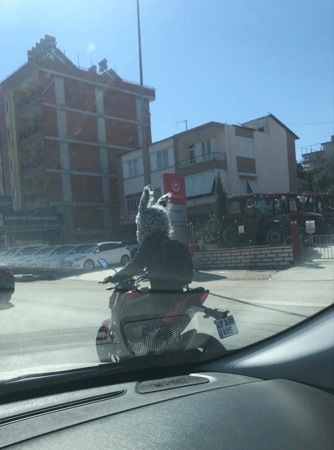 antalya yine bildiğimiz gibi