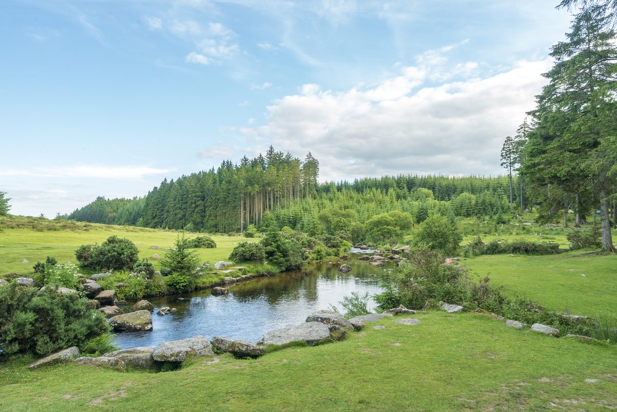 ForestryEngland's tweet photo. #PocketsOfPeace How does this photo make you feel? Studies show that people relax best while seeing greens and blues.
Find out about the other benefits of how a forest adventure can help your wellbeing in our blog with Go Ape 👉 https://t.co/2qHpMMT9zC https://t.co/CGElZjMGHL