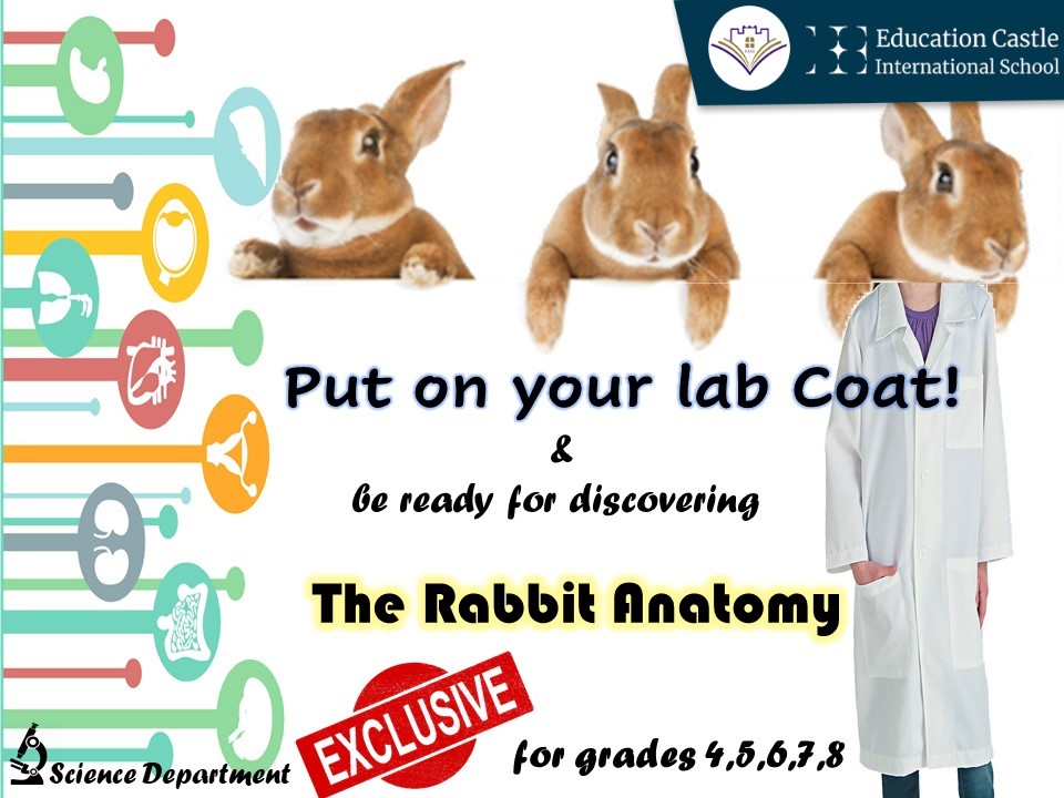 CastleSchools's tweet photo. {Science is the process that takes us from confusion to understanding}
Stay Tuned 🥰
#Science_Department 
#السعودية #الرياض #مدارس_السعودية #مدارس_الرياض #الروضة #العليا #المربع #الفيحاء #مدرسةسعودية #التعليم_السعودية https://t.co/KKCKPiTvZB