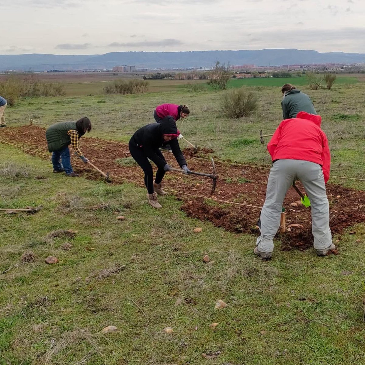 reforesta_ong's tweet photo. Estos voluntarios (y otros tantos que no salen en las fotos) nos ayudaron ayer a cercar dos islas de biodiversidad de 15 metros de largo.
En estas islas (12, en total) hemos sembrado especies que darán cobijo y alimento a polinizadores 🐝🐝🐝
https://t.co/YC67GQjPuE https://t.co/T4sx5q0zVj