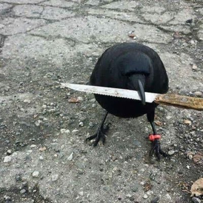 skynotbritish's tweet photo. #NewProfilePic with @notfrenchBright @Ebros__  and @HerbieTheSnake https://t.co/k92PzMAS2L