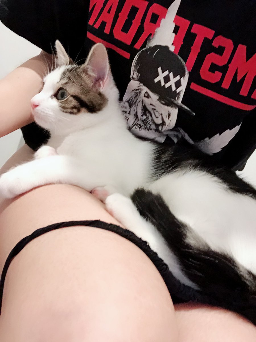 KittanaPrincess's tweet photo. Someone jus wished me Happy Mother’s Day coz I’m the best cat mom ever 🐾

Asiandom findom finsub https://t.co/AbxLQkQVJQ