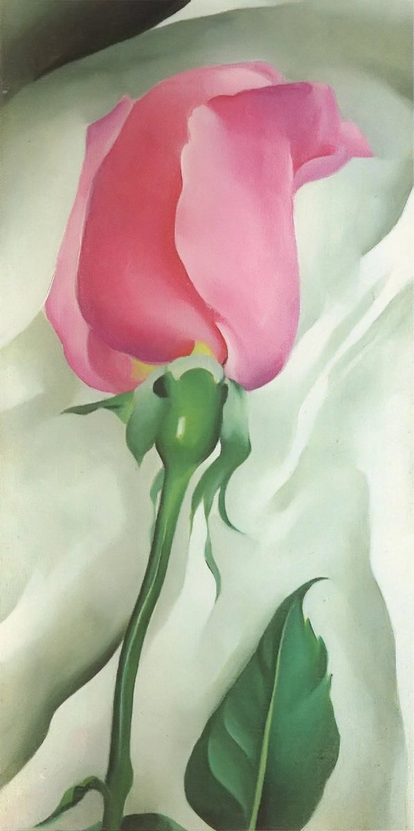 ArtGuideAlex's tweet photo. Pink Rose 1928 #GeorgiaOKeeffe https://t.co/mg4NV0LoxO
