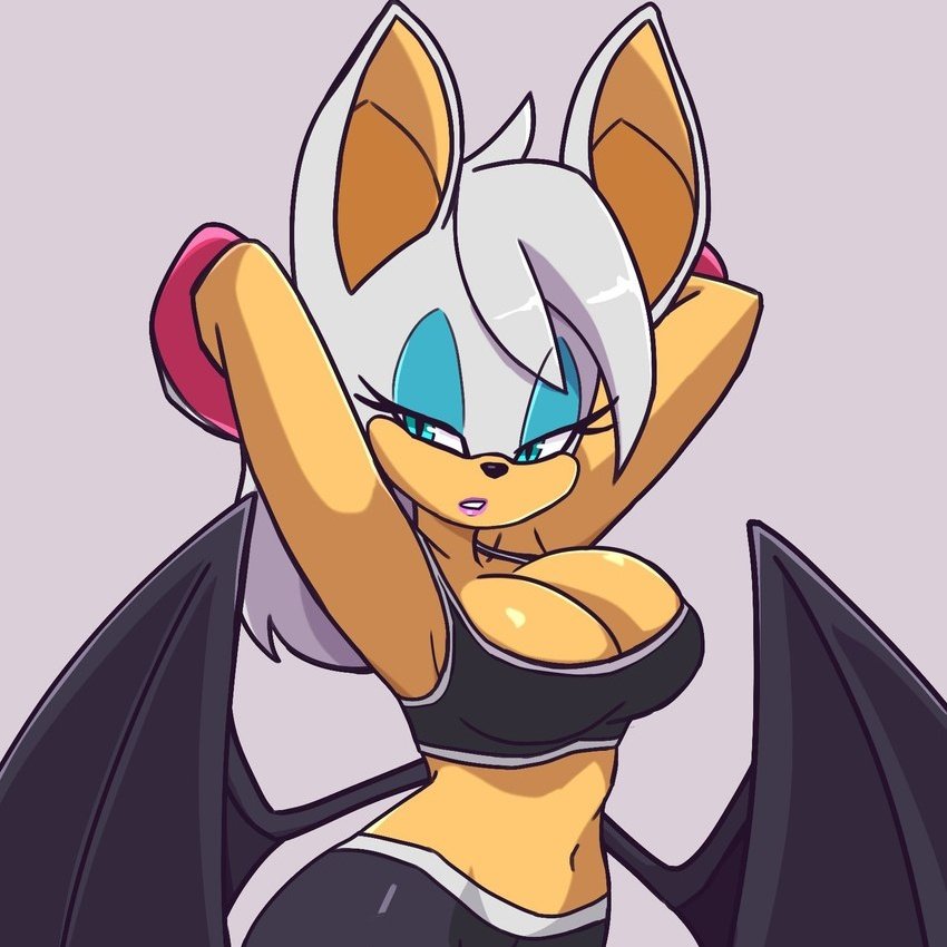 Rouge the Bat Slut 🔞🔞 tweet media