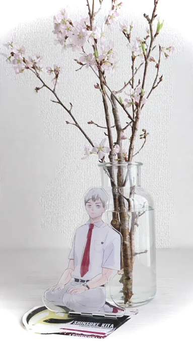 ←桜にさらわれそうな北さん
→桜吹雪乗りこなす北さん 