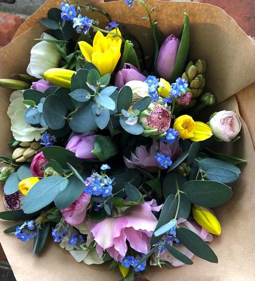 Coblands Garden Centre tweet media