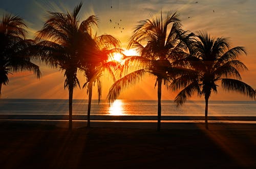 Jay17148662's tweet photo. Good evening. I wish you a pleasant sunday of happiness , enjoy a wonderful day my dear friends https://t.co/Hb1v0C9aMd