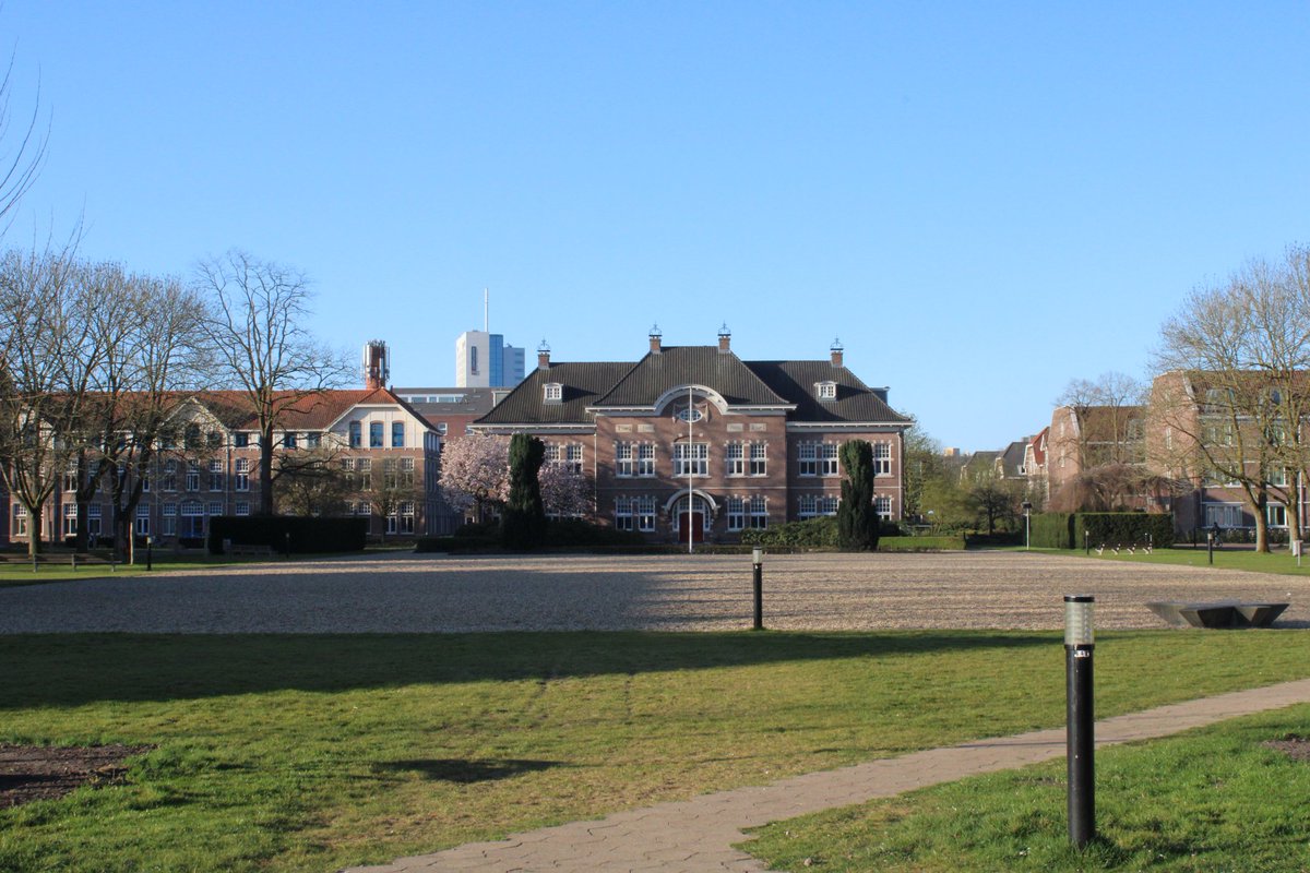 Ramon Poulissen tweet media