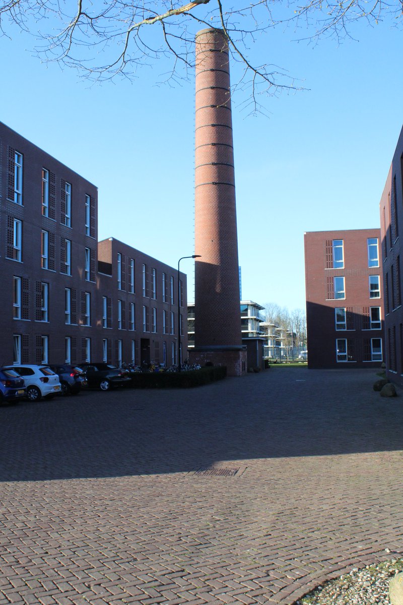 Ramon Poulissen tweet media