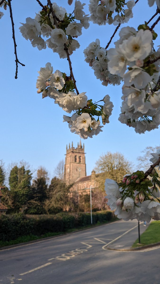 mgraham1977's tweet photo. @nationaltrust Blossom. The flower of hope, signifying the drawing to a close of dim days.
#BlossomWatch https://t.co/efovGu8Z2O