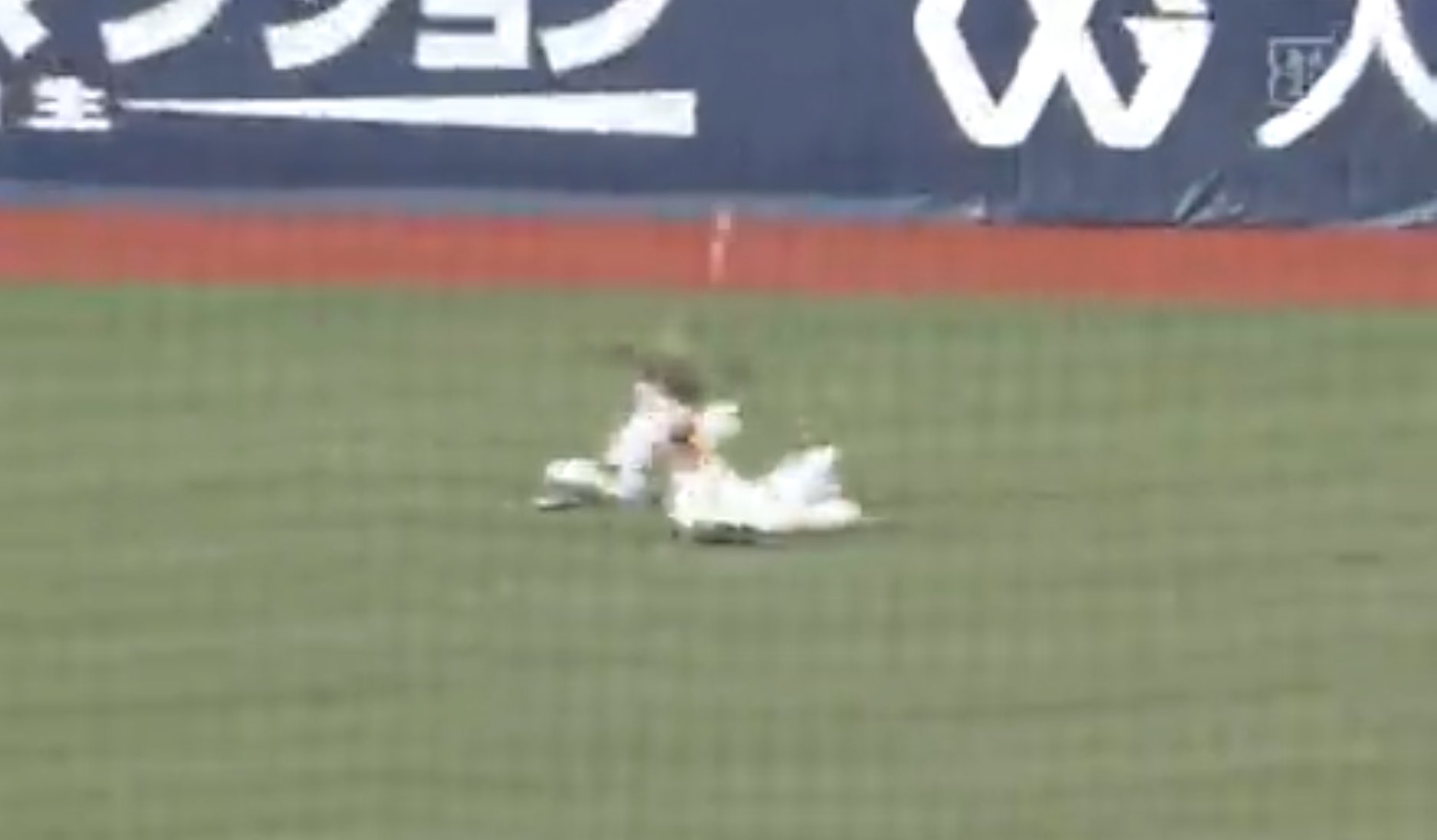 Z翁 画質悪くてもわかる芸術 ランニングホームラン 塩見泰隆 近本光司 佐藤輝明 T Co Elntabfthi Twitter