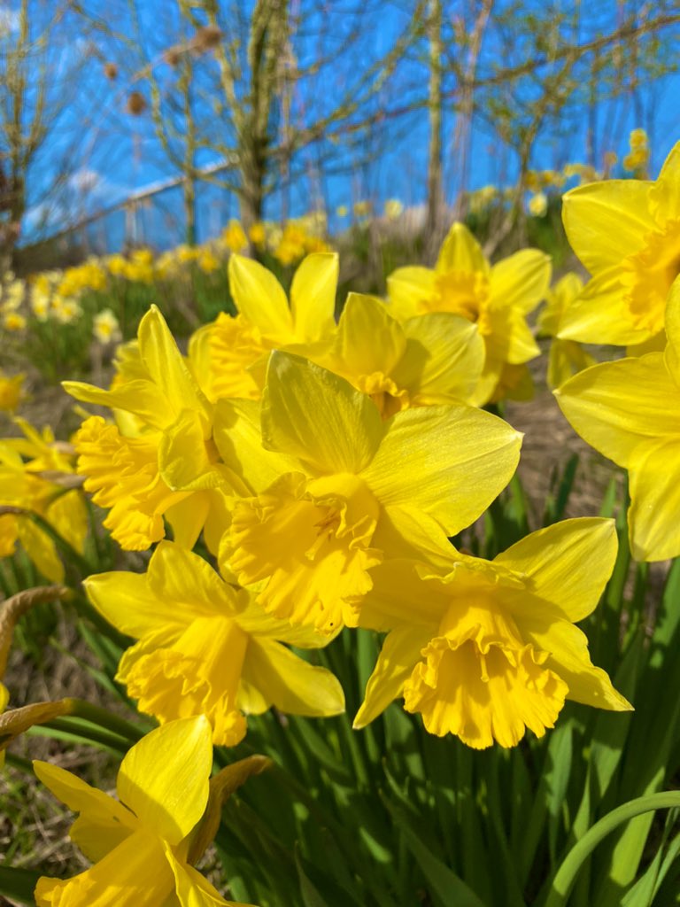 #HappyMothersDay to the most important #Mother of them all - #MotherNature. Without whom we would not exist. Please spare a thought for the natural world this year and do your bit to help #wildlife in 2022. #WildlifeGarden #MothersDay2022