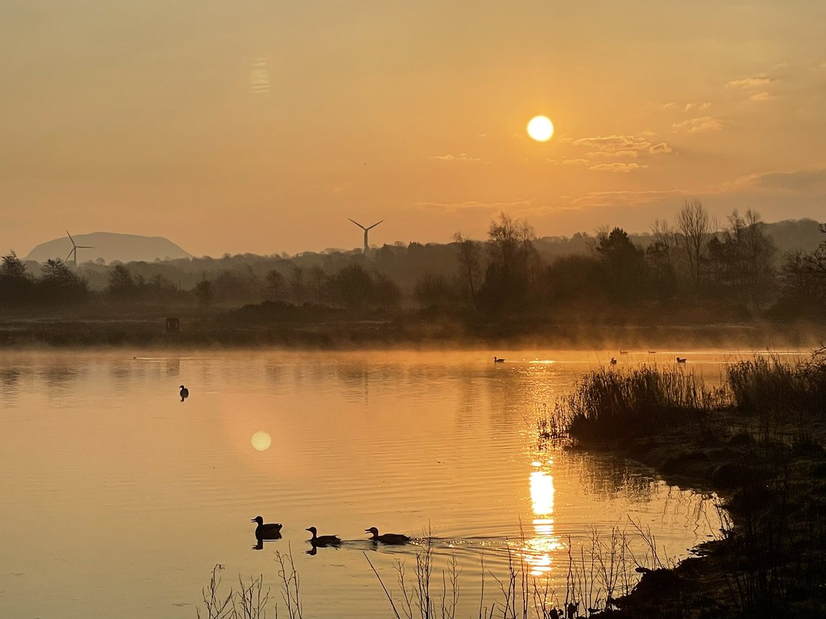 ALISONKEYS4's tweet photo. #sunrise #peaceful #ecoscentre #ballymena #countyantrim #northernireland @bbcniweather @angie_weather @WeatherCee @LoveBallymena @BBCWthrWatchers @LoveAntrim @DiscoverNI @love_belfast @ukpotd https://t.co/BfcSOTa0R4