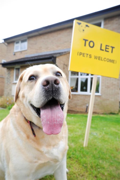 Nyumba.co.ke on Twitter "We know how difficult it can be to find