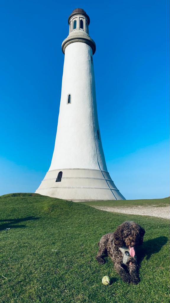 DominiqueWarn19's tweet photo. Beautiful walk @lakedistrictnpa #hoadmonument #ulverston https://t.co/naYXUILISS