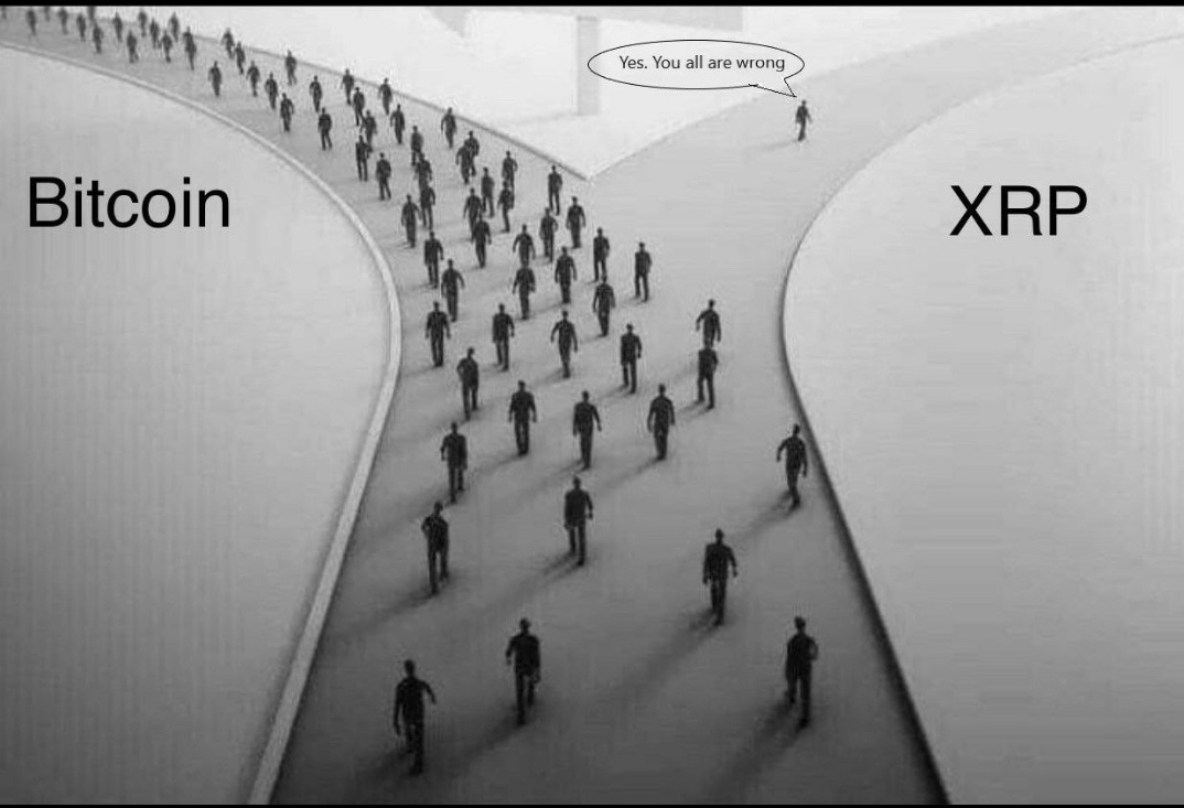 Make your own decision 😌
$XRP ✅💎😎