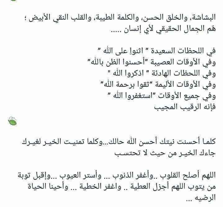 hodaelsayed71's tweet image. 