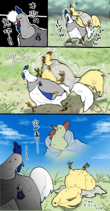 続いた。
ヒヨコの時と同じ振る舞いをする🐤に応えたい🐓…… 