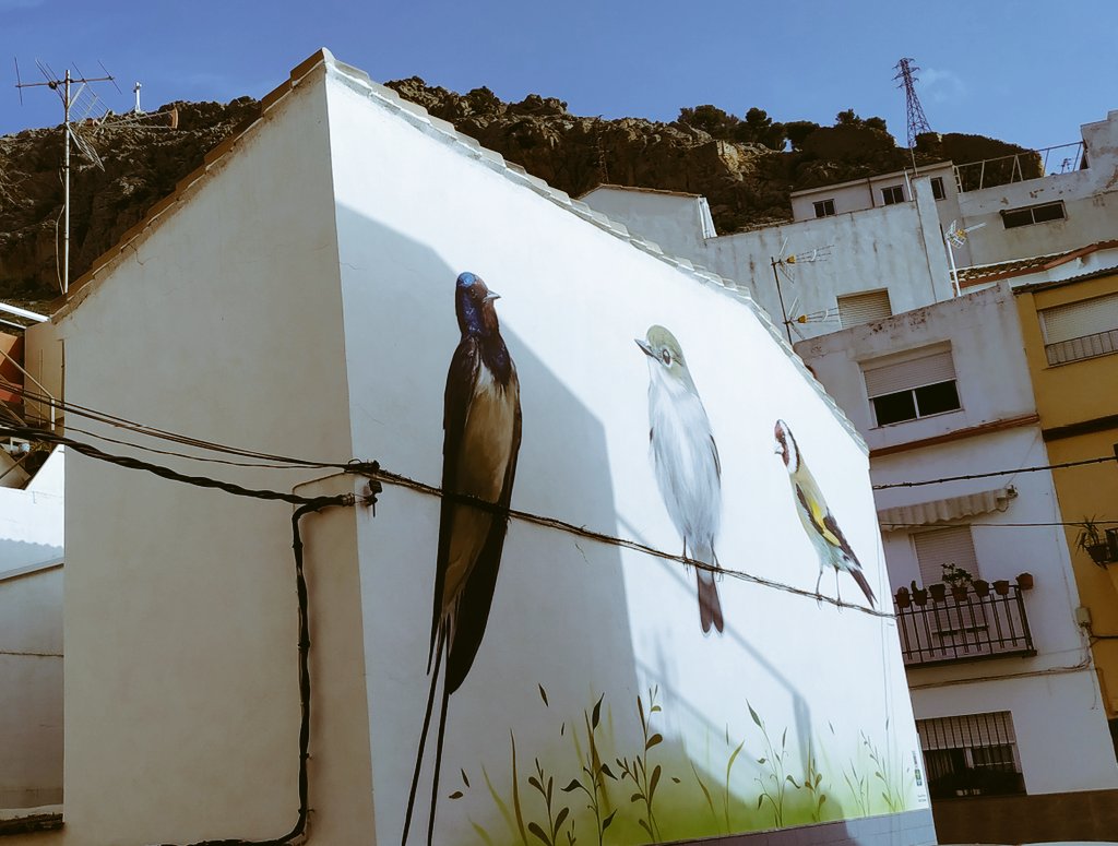 LinksteinX's tweet photo. Hilo de fotitos que he hecho hace un rato en el barrio del Almendral de Jaén ☺ https://t.co/CjTULQpKhB