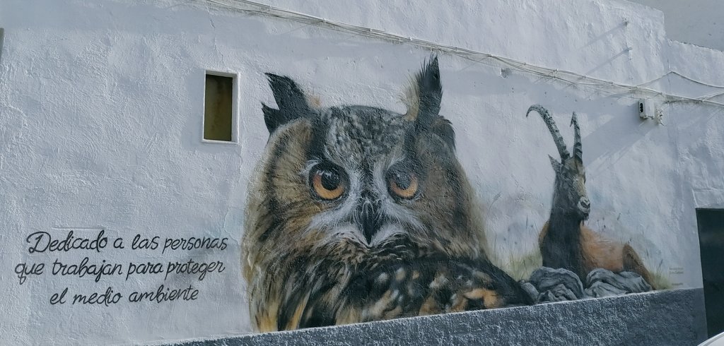 LinksteinX's tweet photo. Hilo de fotitos que he hecho hace un rato en el barrio del Almendral de Jaén ☺ https://t.co/CjTULQpKhB