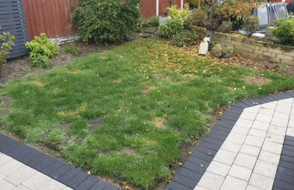 EasigrassLpool's tweet photo. Here's another #ArtificialGrass #CaseStudy. We just love jobs like this, for Mr Rich in Formby. From one extreme to the other and a wonderful transformation. Mr Rich was particularly pleased with #NoMoreMower #NoMoreMud #NoMoreMess   https://t.co/bNyU7UJjVx https://t.co/2vnN8Ug4Ll