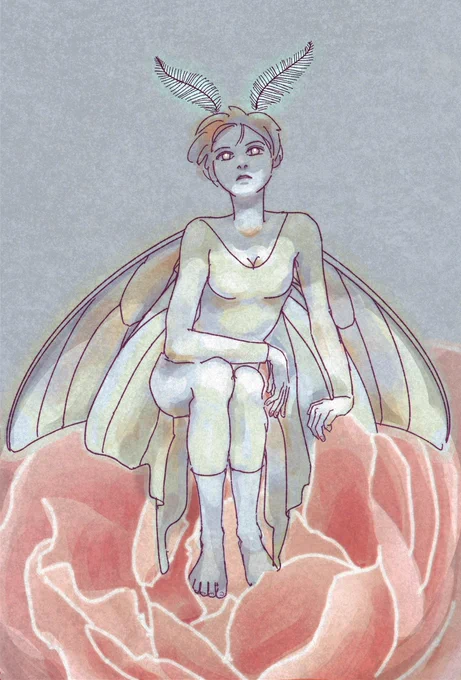 親指姫かな?と思ったら蛾だった。#Thumbelina #イラスト #moth