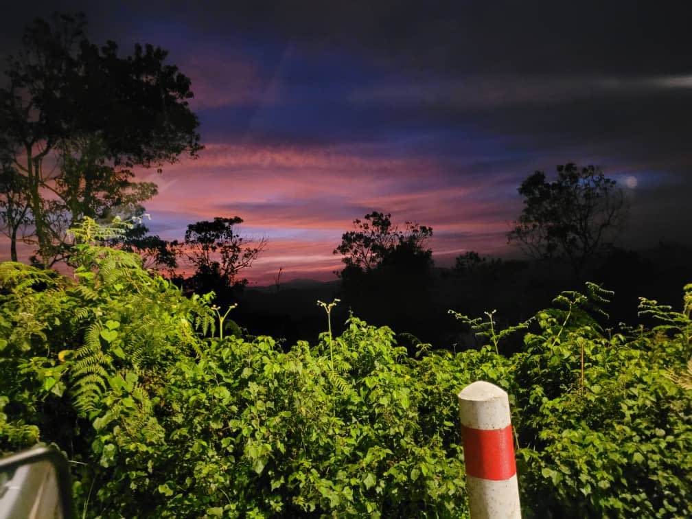 What a wonderful morning in Nyungwe park! Tourists enjoyed to see beautiful sunrise in #Nyungwe. Visit this park to enjoy its  beauty including big trees &amp; scenery Book your visit through nyungwe@africanparks.org or contact on +250788317027
📷:Jimmy
#VisitRwanda_now
<a href="/Africanparks/">African Parks</a>