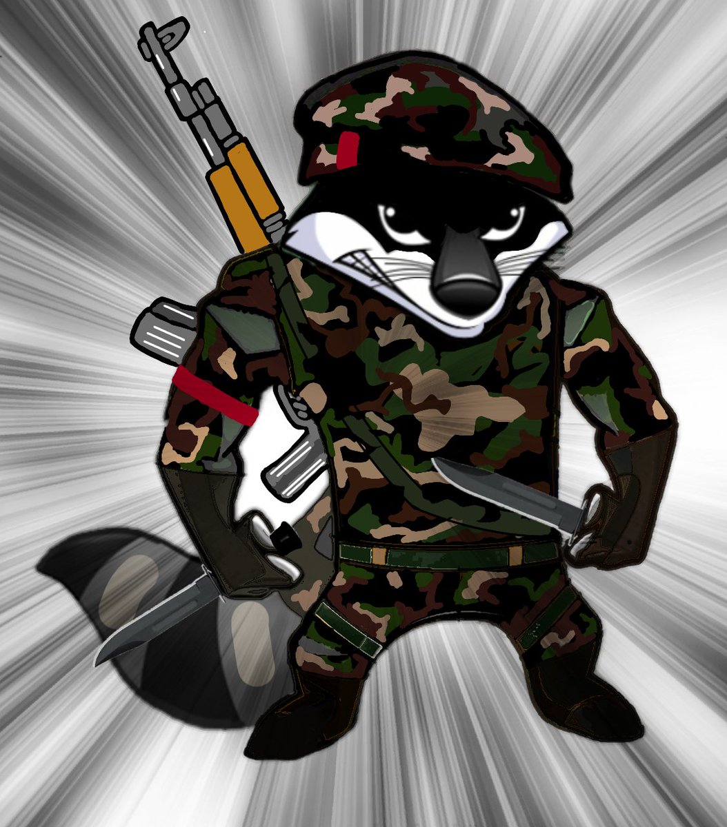 xRaccoon tweet media