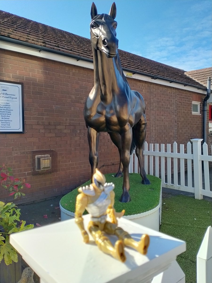 MarketHatsSocks's tweet photo. Do not worry about a Russian Invasion. The Aliens are here already, just met a knackered one resting on a fence at #SedgefieldCarBoot in front of the statue of a Horse. @nigel_guisboro @Hobbs_MarketCat @soult @TheGoldenSmog @aposkiatho @jpc_farm @Soxthewavingcat https://t.co/Dpre3VemeH